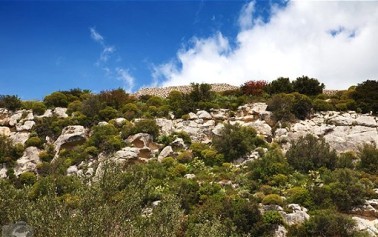 <strong>Sugli iblei netini</strong>. Lassù tra fede, storia e natura