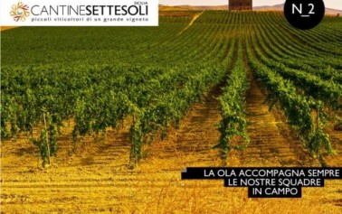 <strong>Cantine Settesoli</strong>: come rilanciare il mercato italiano del vino