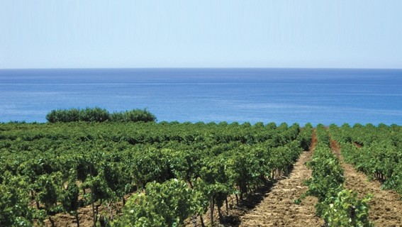 <strong>Papa Francesco a Lampedusa</strong> degusta la DOC Sicilia di Cantine Settesoli