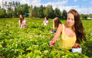 <strong>Boom di giovani agricoltori</strong>: è questa la professione del presente e del futuro