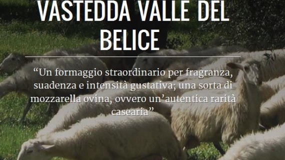 Menfi e la Vastedda Valle del Belice nel “Google Cultural Institute”