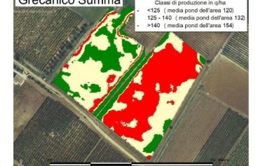 Cantine Settesoli e il Progetto Avigere: Le nuove frontiere della viticoltura di precisione