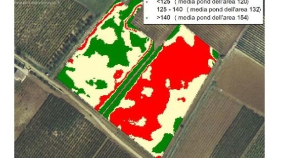 Cantine Settesoli e il Progetto Avigere: Le nuove frontiere della viticoltura di precisione