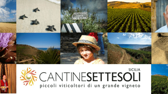 I sei giganti di <strong>Cantine Settesoli</strong> diventano opere d’arte