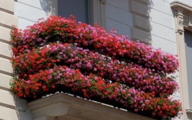 Cortili verdi, balconi in fiore: <strong>la grande bellezza di Ortigia</strong>