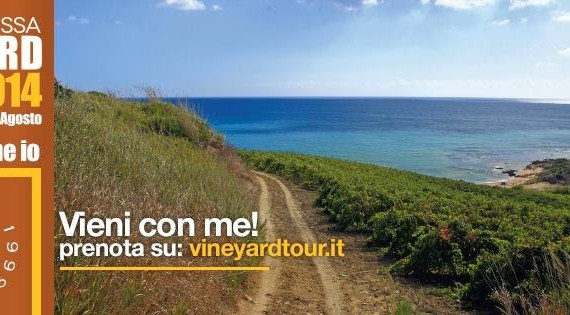 Inizia domani la <strong>vendemmia</strong> più grande d’Europa