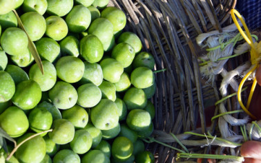 <strong>Menfi</strong>: Dove l’olio dà il pane a 3mila persone