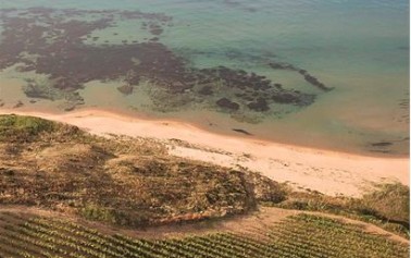 <strong>Cantine Settesoli</strong>: “Annata difficile per molte regioni ma nel territorio di Menfi ottenuti risultati eccezionali”