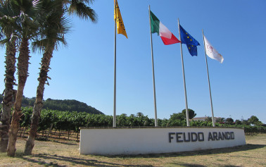 Porte aperte alle <strong>Cantine Feudo Arancio</strong> per Calici di Stelle