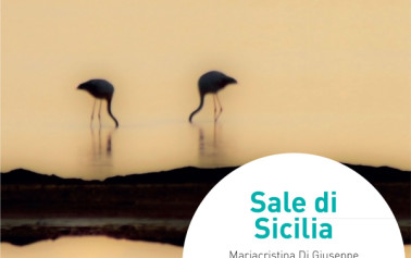 Sale di Sicilia, un’ode all’isola delle isole