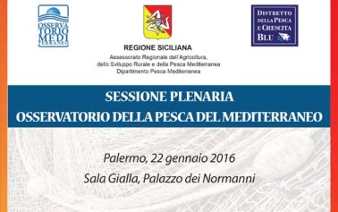 Domani all’ARS si riunisce l’Osservatorio della Pesca del Mediterraneo