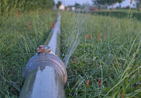 Coldiretti: “In Sicilia acqua a peso d’oro”