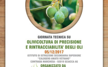 A Sciacca una giornata formativa dal titolo “Olivicoltura di precisione e rintracciabilità”