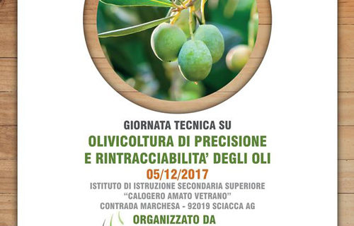 A Sciacca una giornata formativa dal titolo “Olivicoltura di precisione e rintracciabilità”