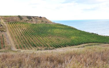 Inycon Menfi. Alla scoperta della terra del vino attraverso le sue contrade