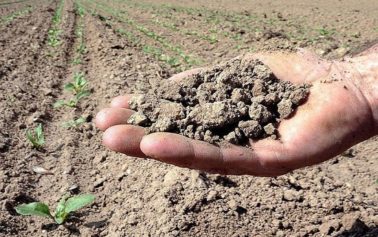 Poche piogge in Sicilia, invasi dimezzati. Coldiretti: “Allarme siccità. La natura è in tilt”